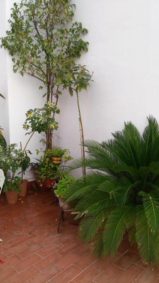Patios Con Encanto Cordoba Luaran gambar